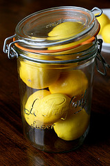 meyer lemons from chiot's run Photo by Chiot's Run