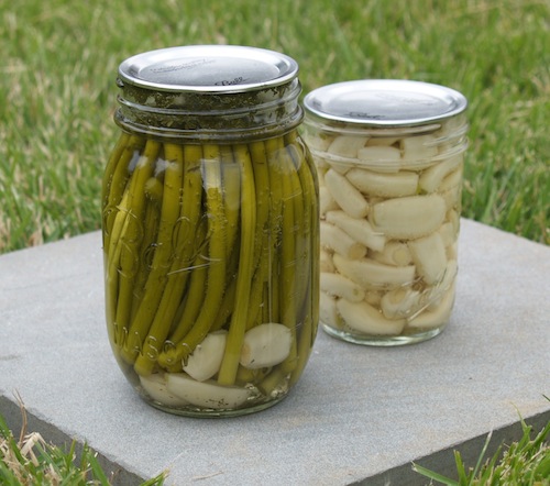 pickled scapes pickled scapes
