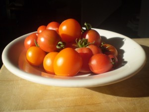 summer bounty