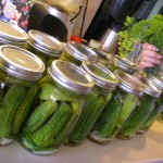 more pickles! 008