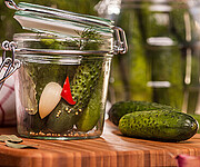 Starter Pickles