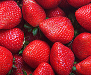 Savoring Summer With Strawberries