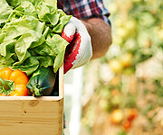 The Nitty Gritty Dirt Farm