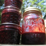 CAA Blackberry vanilla jam KP
