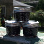 jams by Amy Artisan Photo by Amy Artisan